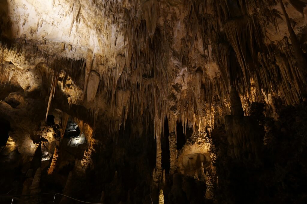 Discover the illuminated wonders of Carlsbad Caverns with stunning stalactites and mesmerizing cave formations.