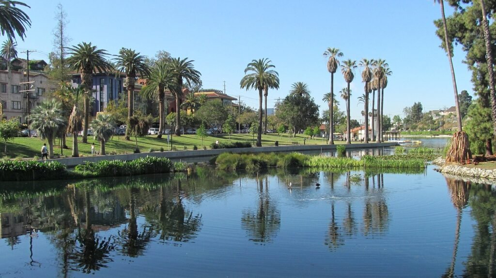 echo park, los angeles, lake, palms, palm trees, nature, blue park, blue angel