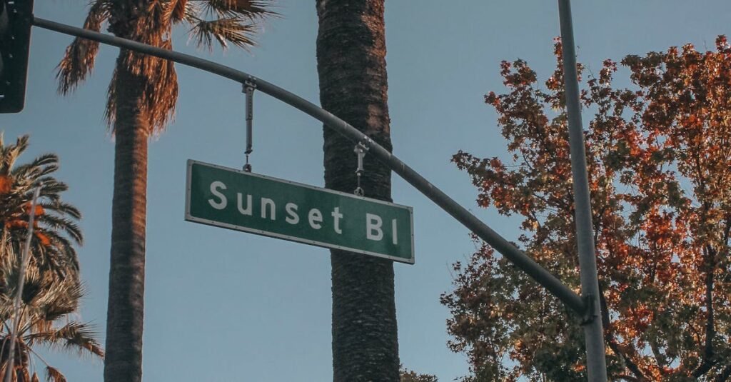 pexels-photo-2263668-2263668 A scenic view of palm trees and a street sign on Sunset Blvd in Los Angeles.