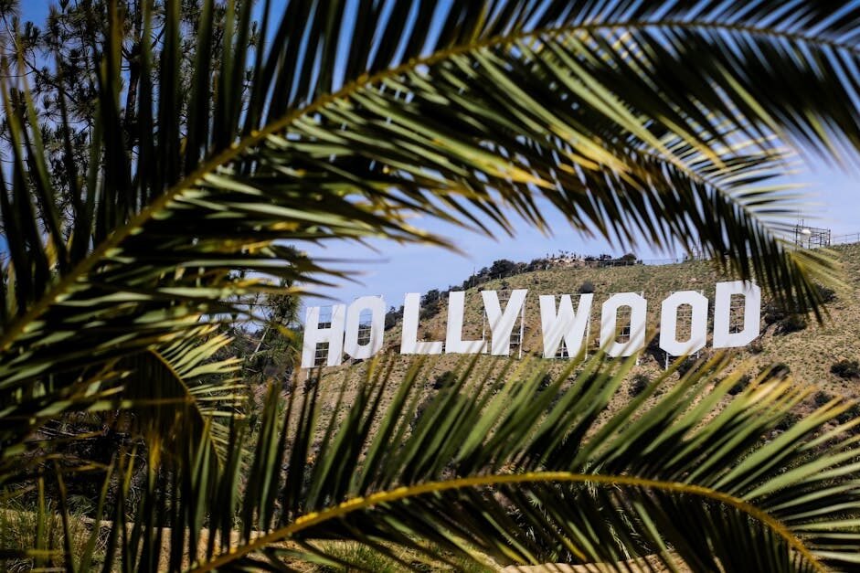 Famous Hollywood Sign framed by palm leaves on a sunny day in Los Angeles, California.