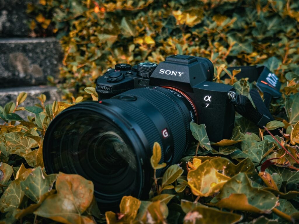 Close-up of a Sony Alpha camera surrounded by vibrant autumn leaves, highlighting its design.