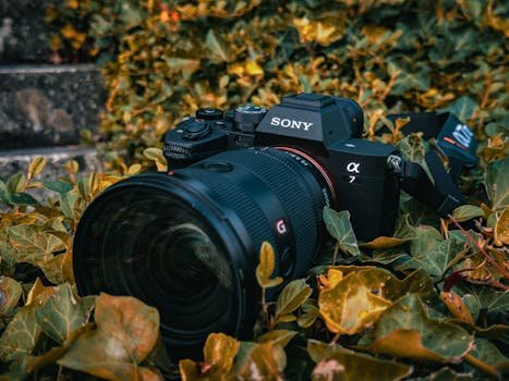pexels-photo-27779284-27779284-4 Close-up of a Sony Alpha camera surrounded by vibrant autumn leaves, highlighting its design.