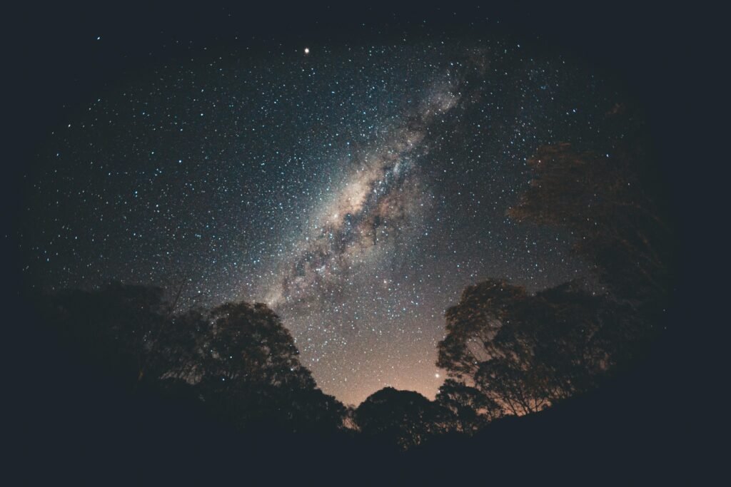 Stunning view of the Milky Way galaxy over silhouetted trees in a tranquil night setting.