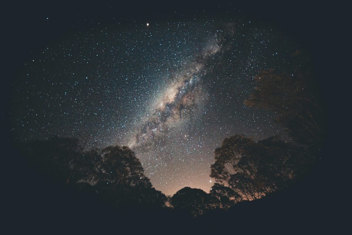 Stunning view of the Milky Way galaxy over silhouetted trees in a tranquil night setting.