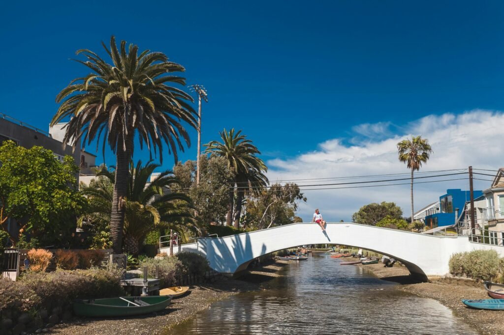 pexels-photo-8783143-8783143 White pedestrian bridge over a canal with palm trees under a clear blue sky. Person sitting on the bridge.