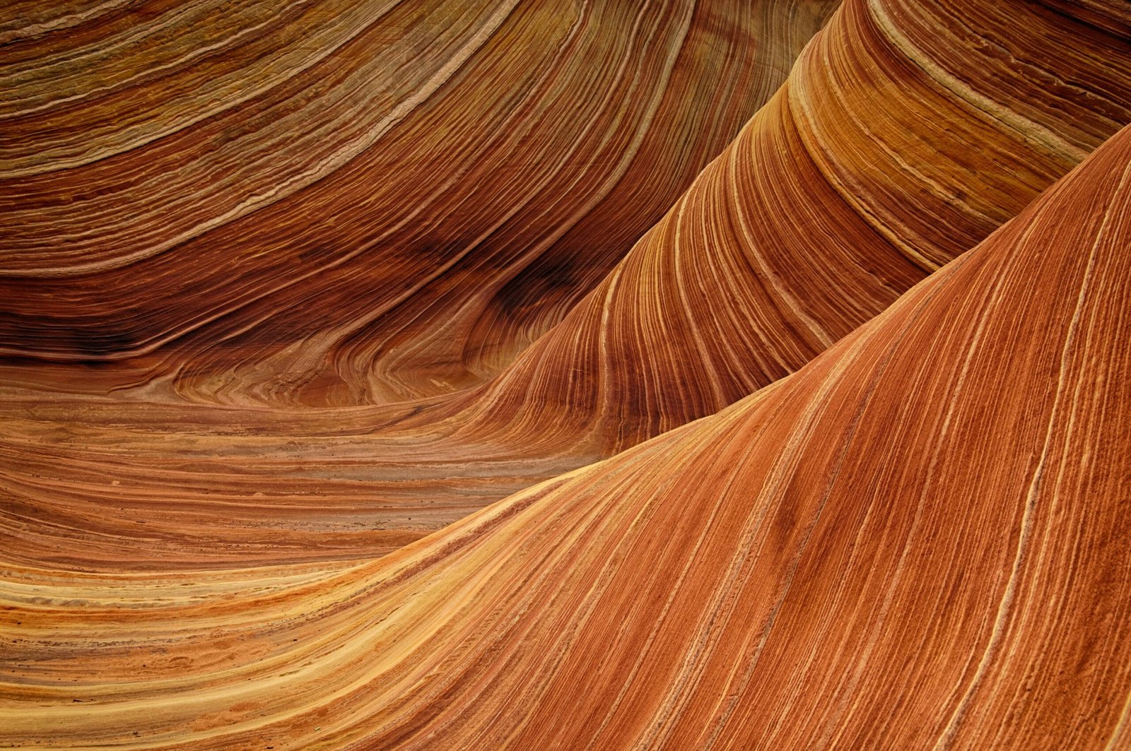 sandstone-the-wave-rock-nature-50570-50570 Breathtaking view of the vibrant undulating sandstone formations in The Wave, Arizona.