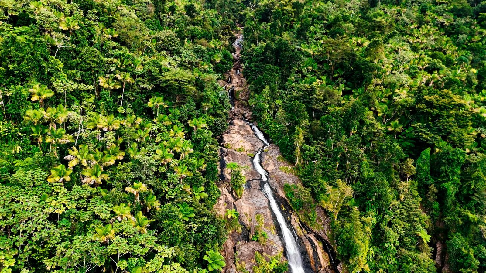 A drone shot of a waterfall at El Yunque National Forest in Puerto Rico